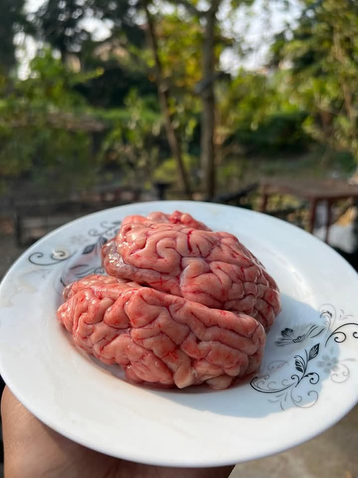 গরুর মগজ -কেজি (প্রতি কেজিতে ৪-৫ পিচ)